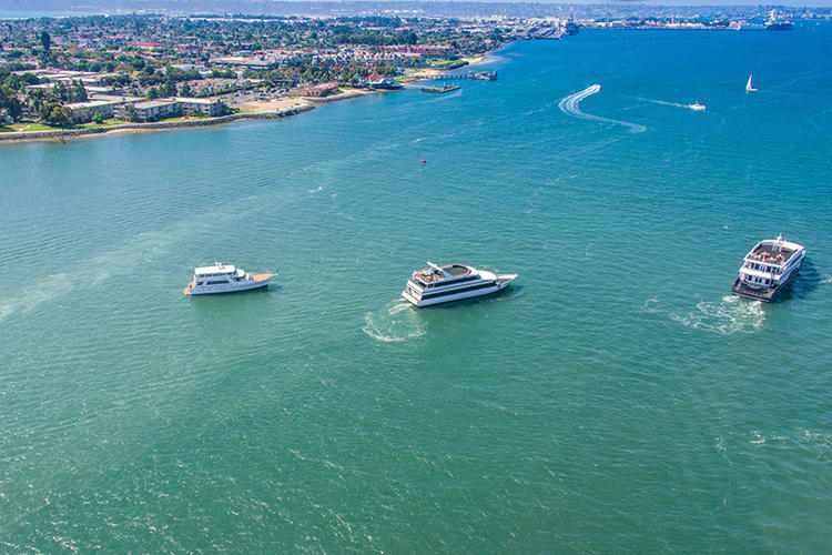 Chose Between Public or Private Cruises