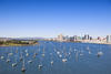 Take the San Diego Water Taxi anywhere on the waterfront