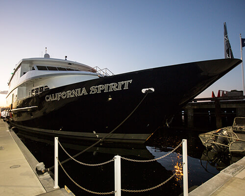 California Spirit